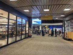 -纽瓦克自由国际机场