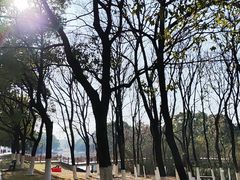 -艾溪湖湿地公园