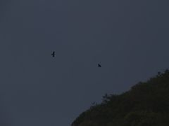 -狼牙山风景区