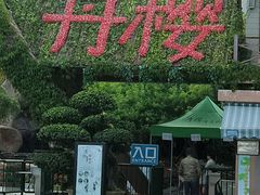 -丹樱生态园