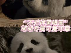 -保利国际影城(北京缤纷城店)