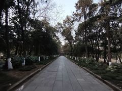 -灵谷景区