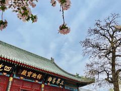 -天津大悲禅院