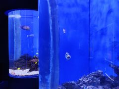 -石家庄海洋公园
