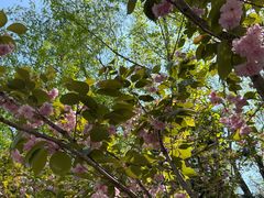 -长白岛森林公园