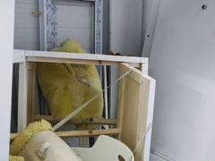 -迷你考拉仓自助小仓库(伟莱家园店)