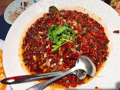 川香水煮老虎斑（现杀活鱼）-五马集·海鲜·温州大牌档(黑金冠五马街十字路口店)