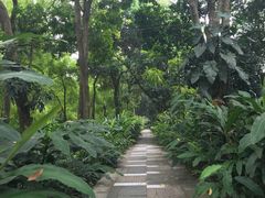 -广西壮族自治区药用植物园