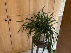 -麦悠悠·SPA·推拿(太阳山路店)