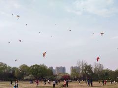 -太阳宫公园