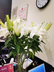 -史云逊养发护发