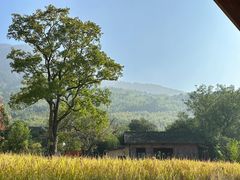 -塔川景区