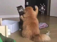 -肯德基(安定门店)