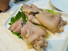 -丁老爷子苏香圆