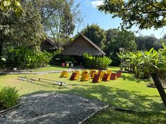 -大象粑粑造纸公园