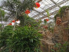 -南宫五洲植物乐园