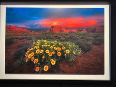 -罗红摄影艺术馆