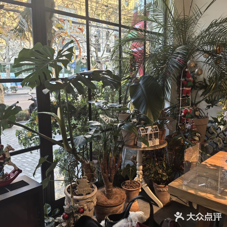 青岛宝藏西餐厅，氛围感拉满[种草][种草]