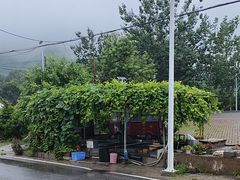 -北京龙庆四季香农家饭庄·灶台鱼·碳烤虹鳟鱼(龙庆峡店)