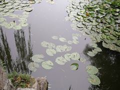-文瀛公园