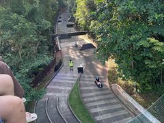 -圣淘沙天际线斜坡滑车