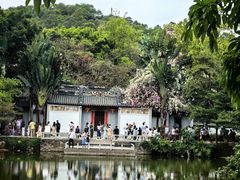 -深圳国际园林花卉博览园