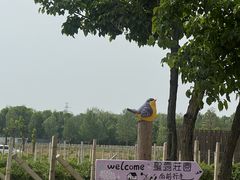 -圣露庄园·露营·烤肉·亲子