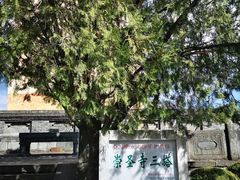 -三塔倒影公园