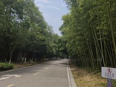 -都江堰中华大熊猫苑