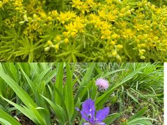 -白鹭湾湿地公园