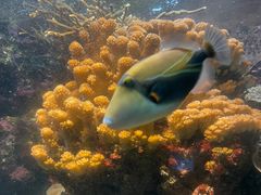 -鹿儿岛水族馆