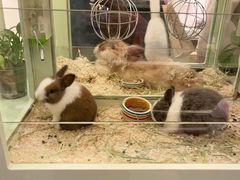 -龙猫仔乐园(惠福东路店)