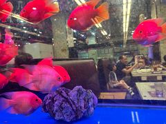 -新辉港式茶餐厅(北栅店)