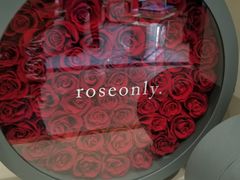 -ROSEONLY诺誓(沈阳万象城店)