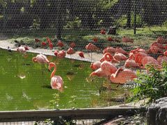 -石家庄市动物园