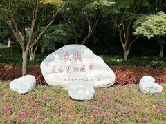-青枫公园
