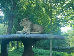 -北京野生动物园
