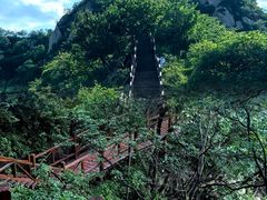 -大岭沟猕猴桃谷风景区