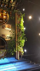点击看大图 -藤野造型·专业烫染店