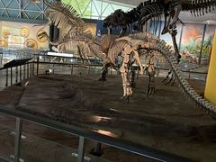 -湖南省地质博物馆