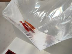-中环花鸟鱼虫市场