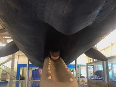 -上海海洋大学鱼文化博物馆(军工路校区)