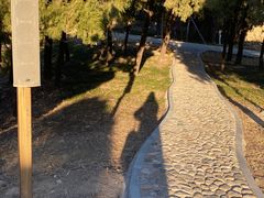-泰山风景名胜区-虎山公园