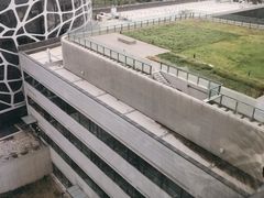 -首都医科大学附属北京天坛医院
