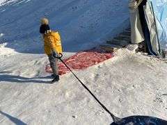 -绿野森林乐园冰雪季
