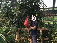 -南山植物园