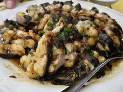 -鸿达渔港