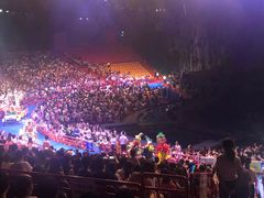 -广州长隆国际大马戏