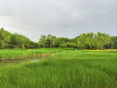 -北坞公园