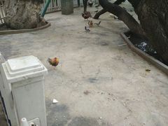-宗角禄康公园